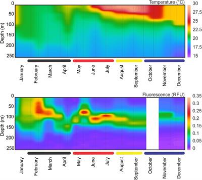 Metabarcoding Analyses and Seasonality of the Zooplankton Community at BATS